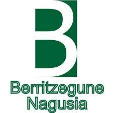 berritzegune